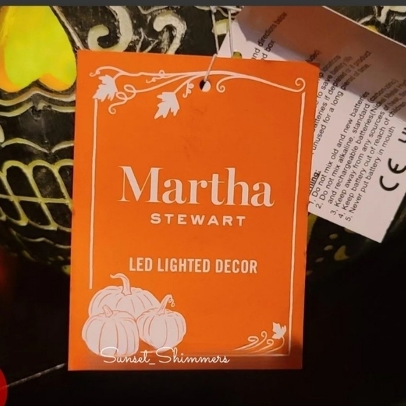 Martha STEWART LARGE LED SUGAR SKULL PUMPKIN FALL HALLOWEEN DAY OF DEAD New - Picture 8 of 9
